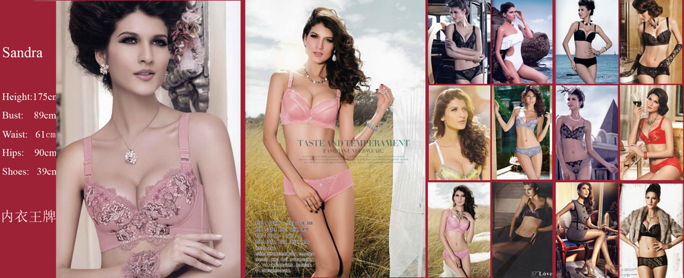 style="width:900px;"